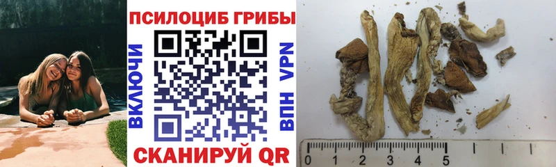 Галлюциногенные грибы Cubensis  МЕГА онион  Аркадак 